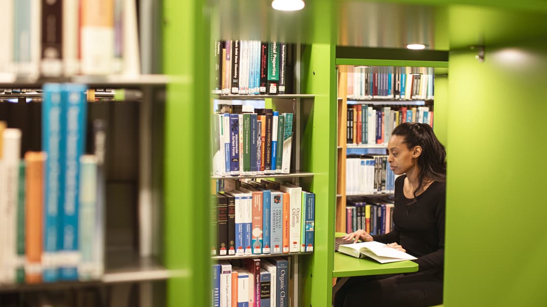Läsande student 2