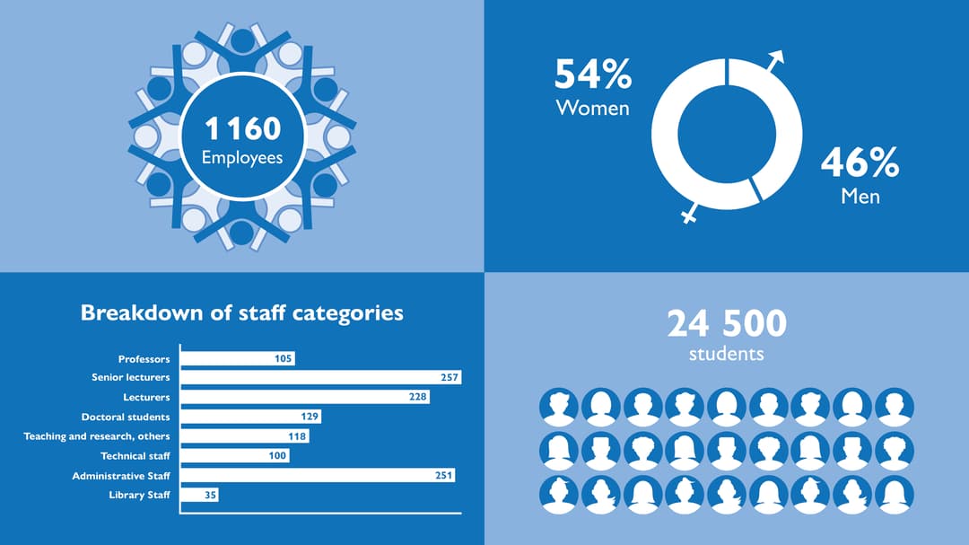 Statistics, employees and students