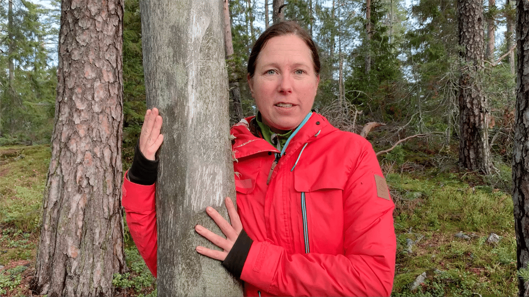 Jennie Sandström i skogen