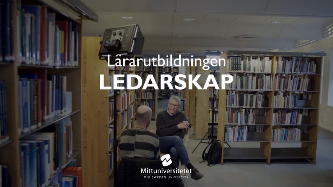   Ledarskap