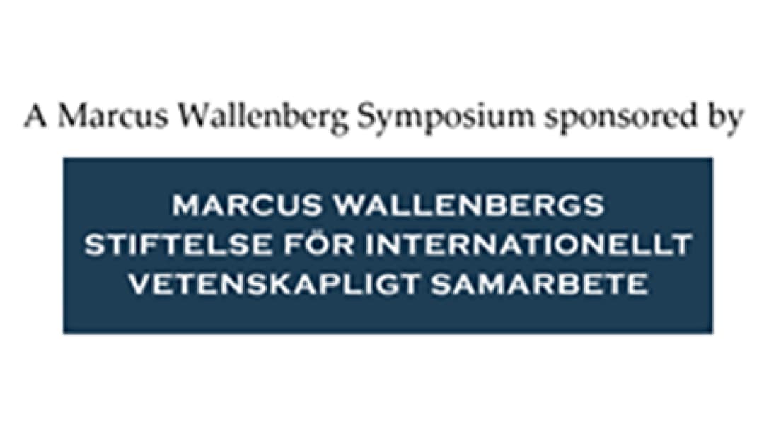 Logotyp för Marcus Wallenbergs stiftelse