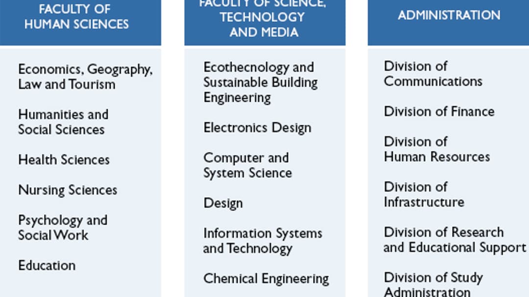 Mittuniversitetets_organisation_VT2019_eng.jpg