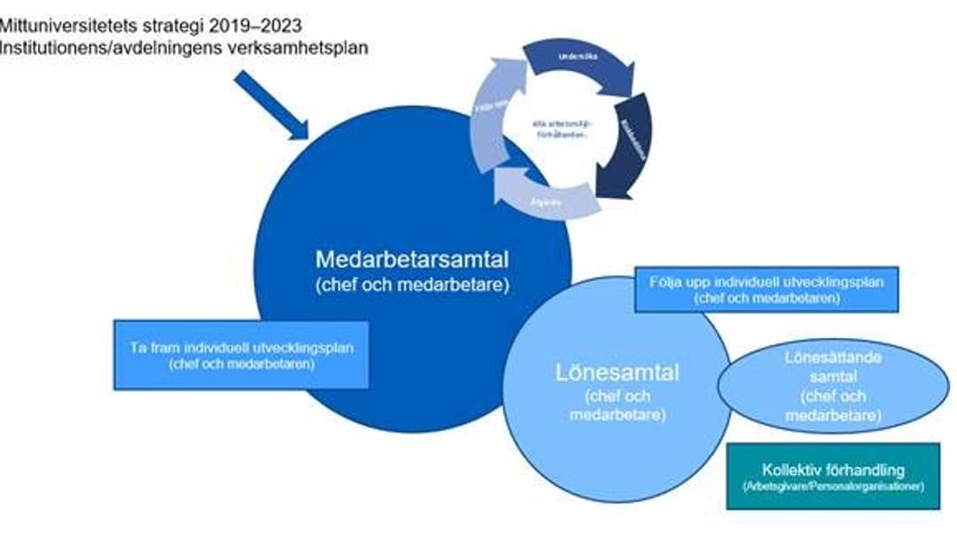 Medarbetarsamtal