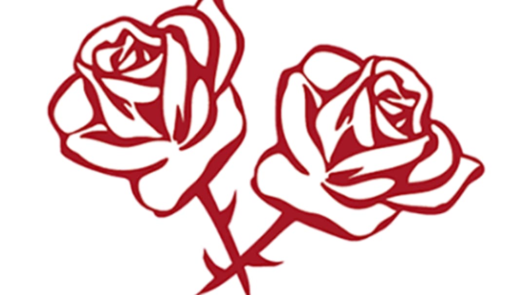 Roses_rosor_resize_359X466_crop_319X490_−12_19.png