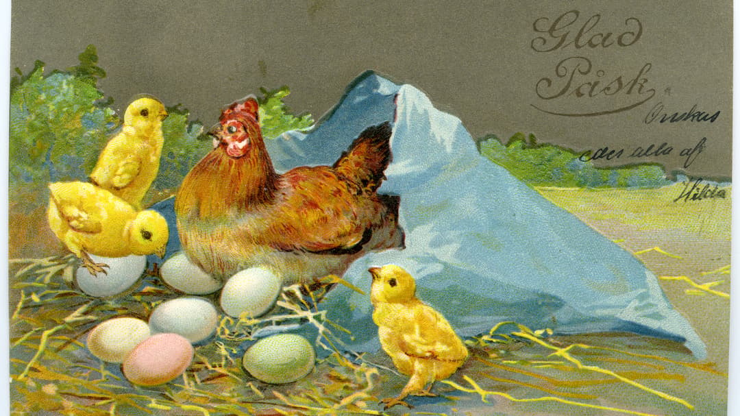 Brevkortsalbum nr 11