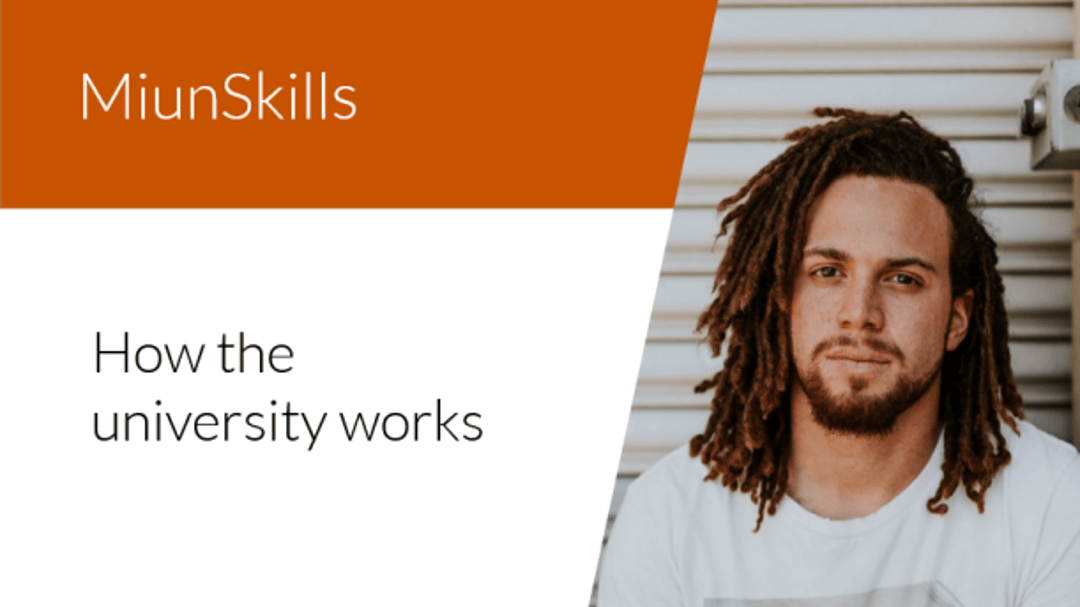 How the university works_resize_459X611_resize_356X856.png