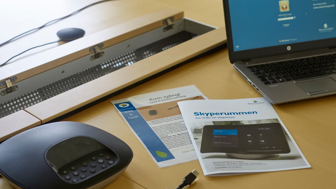 Skypemöte
