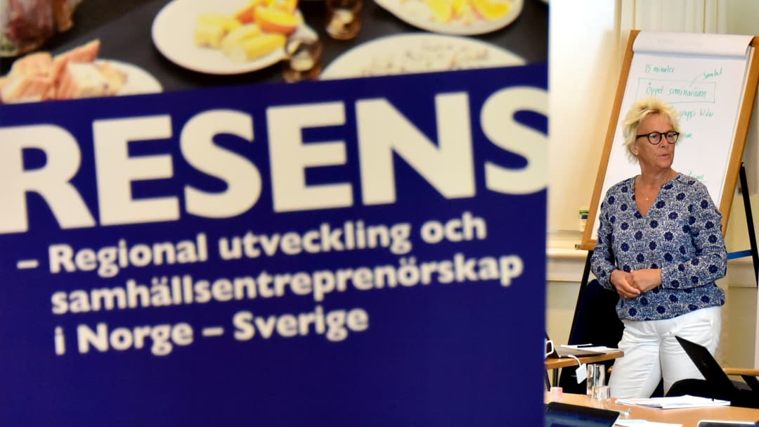 ReSeNS avslutningskonferanse, Yvonne von Friedrichs