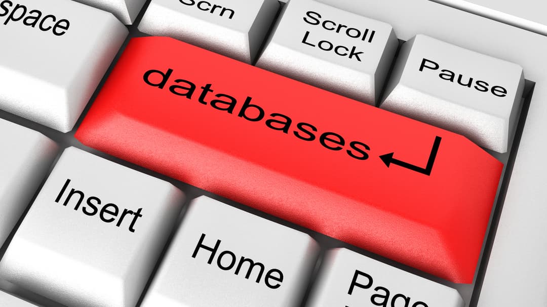 Databaser