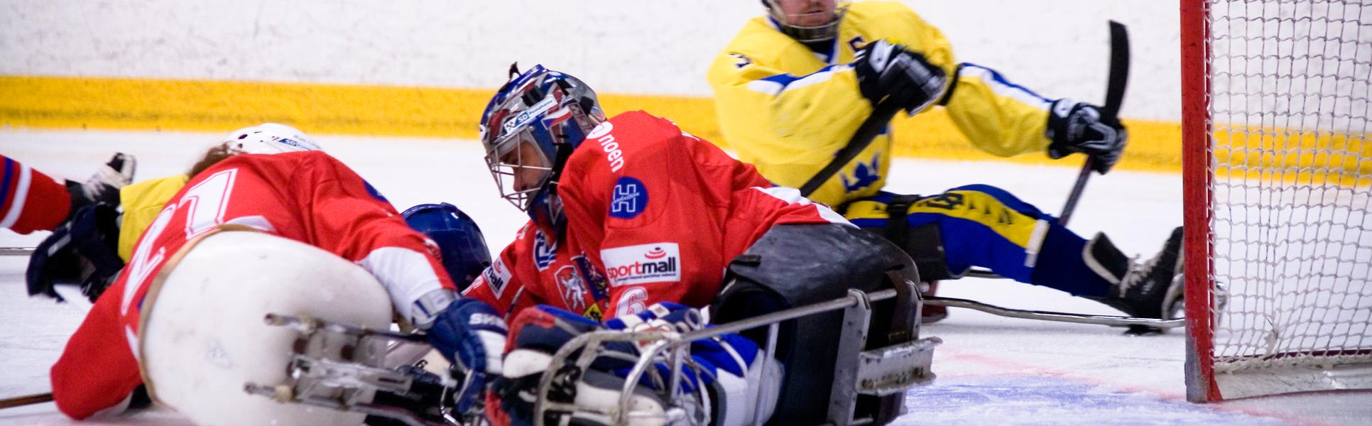 Kälkhockey, parasport, paraidrott, paralympics