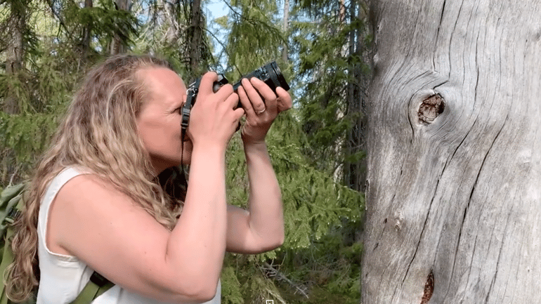 Kvinna fotograferar en trädstam