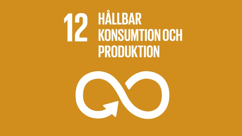 Globala målen