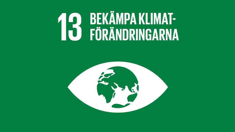 Globala målen