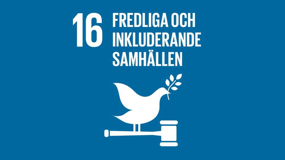 Globala målen