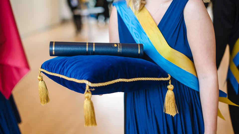 Akademisk högtid 2017