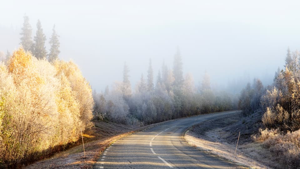 Höstväg i norra Sverige