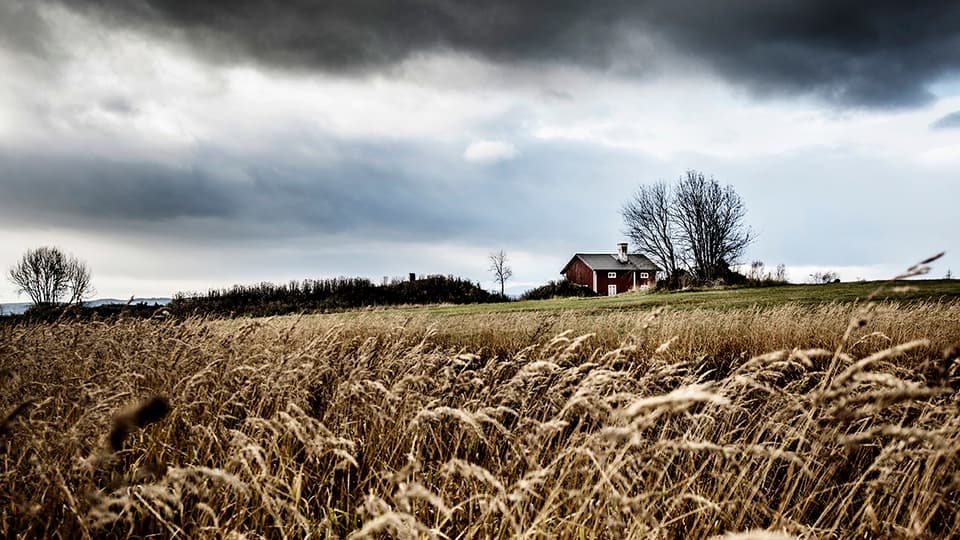 Klimathot, oväder, glesbygd