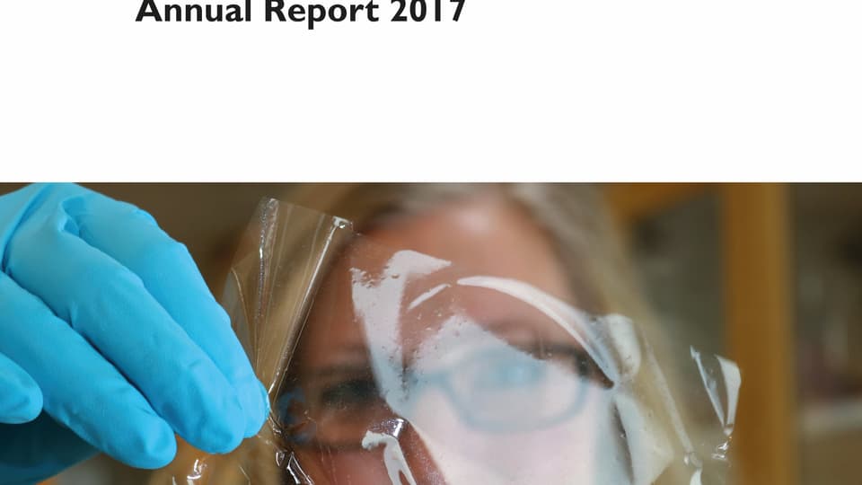 årsrapport 2017 framsida.jpg