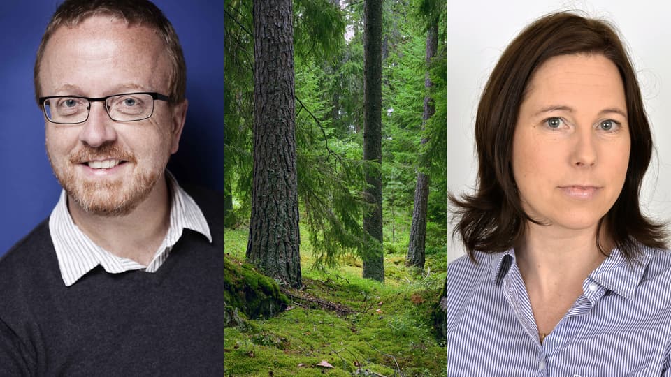 Kollage med Bengt-Gunnar Jonsson, en bild på barrskog och Jennie Sandström