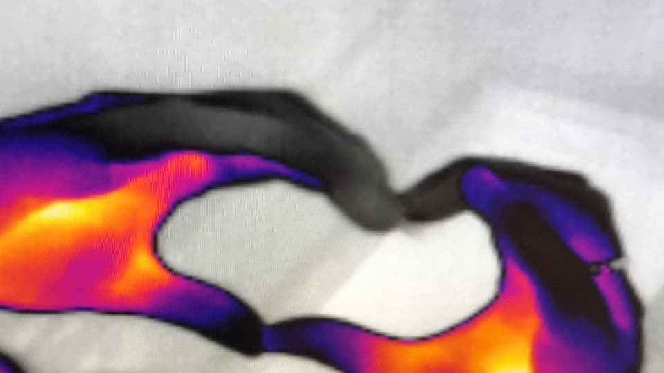 Bild1_crop_1.jpg