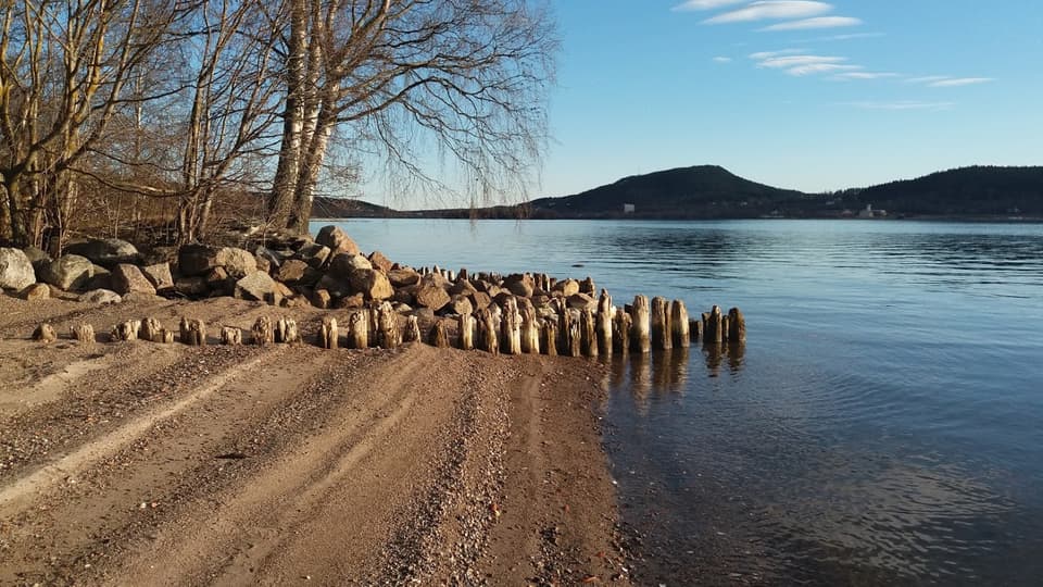 Kustområdet vid Essvik