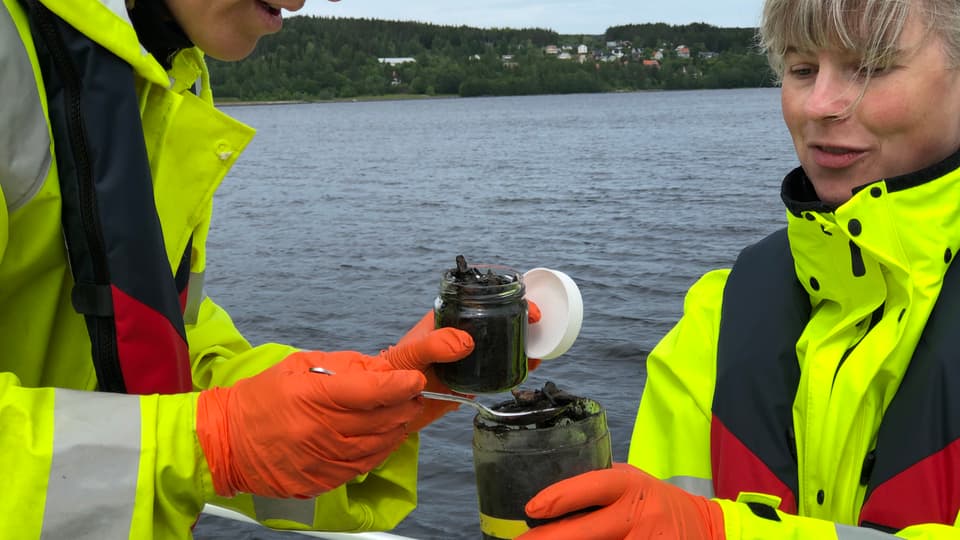 Upptagning av prov från fiberbank i Essvik