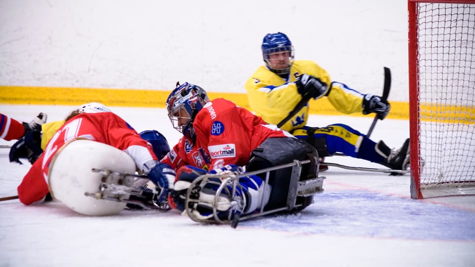 Kälkhockey, parasport, paraidrott, paralympics