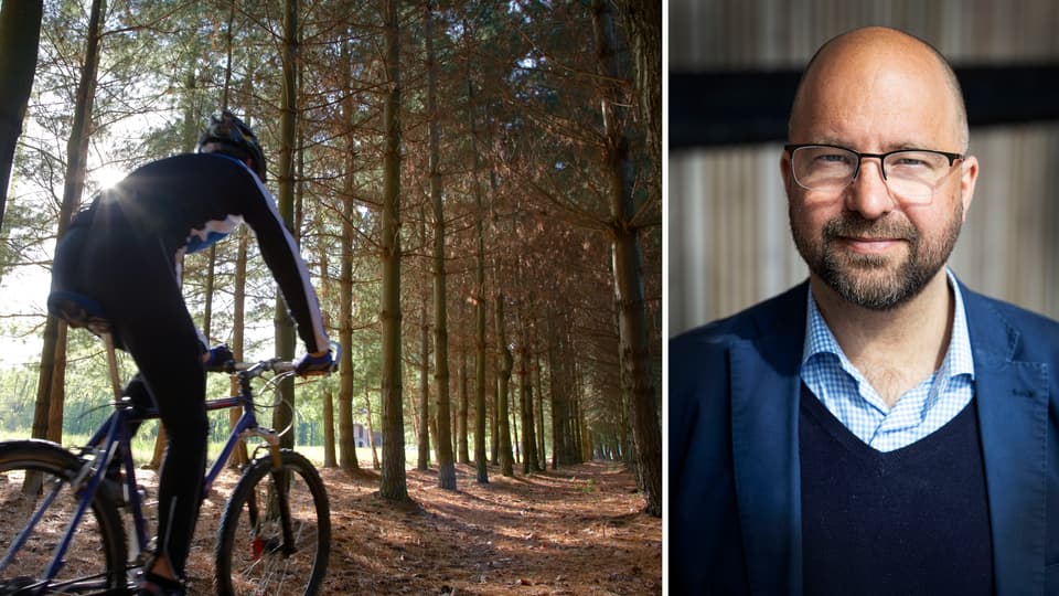 Kollage: Cyklist i skogen, Porträttfoto av man i glasögon
