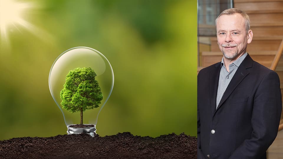skog lampa man i kostym
