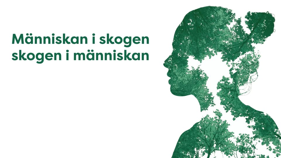 Siluett av ansikte i profil, fylld av träd
