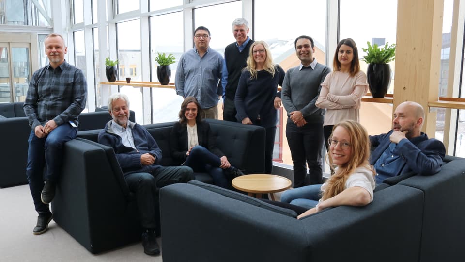surface and colloid engineering group