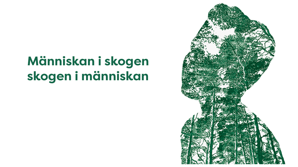 Titel för utställningen Människan i skogen för bildspel