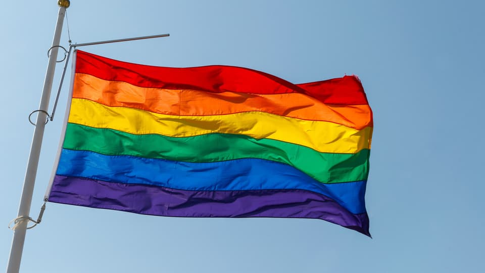 Pride flagga