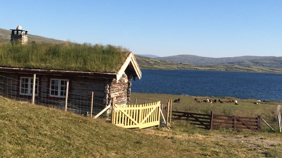 Fjällstuga