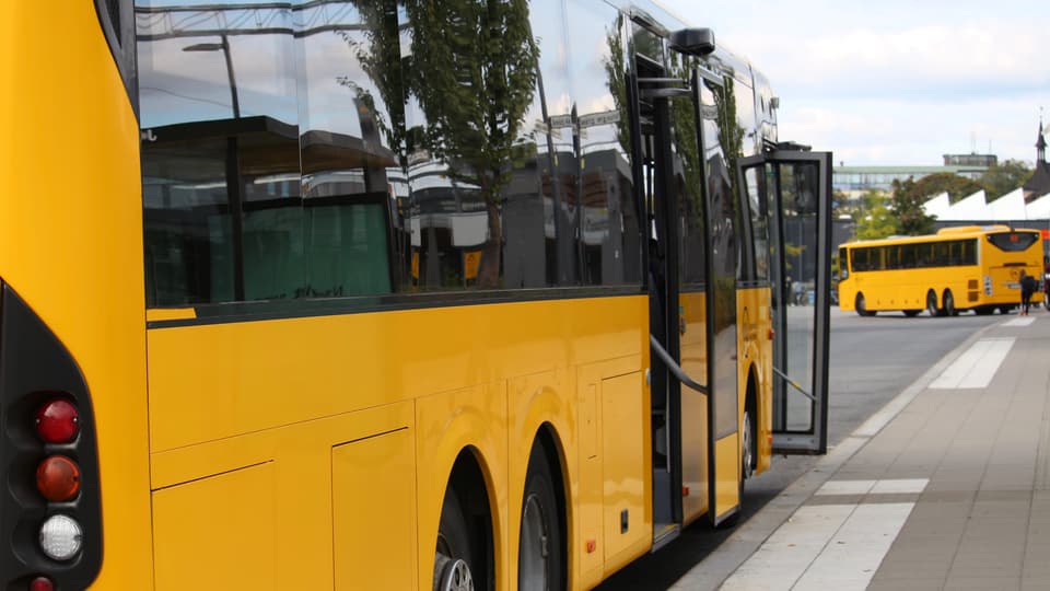 17279480-ul-bussar.jpg