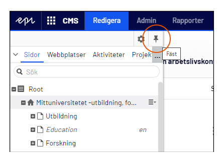Häftstiftet för att nåla fast panelen.