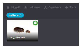 Image not found
