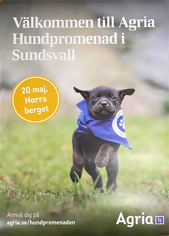Image not found