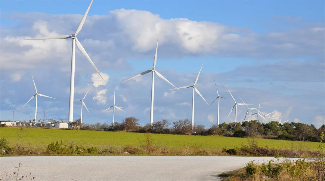 Vindkraft örn övervakning Gotland