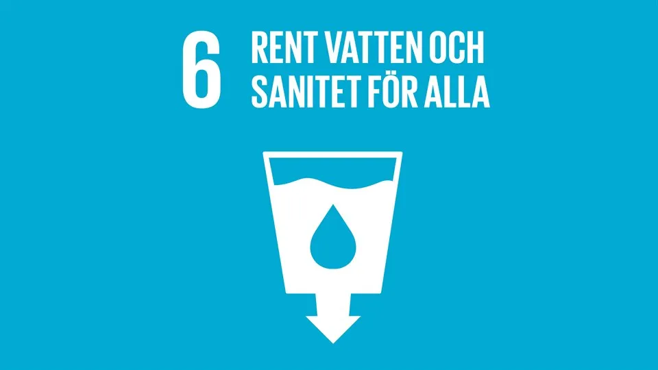 Globala målen