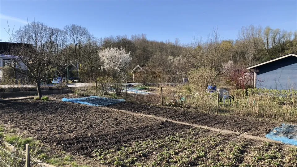 Trädgård med odlingar