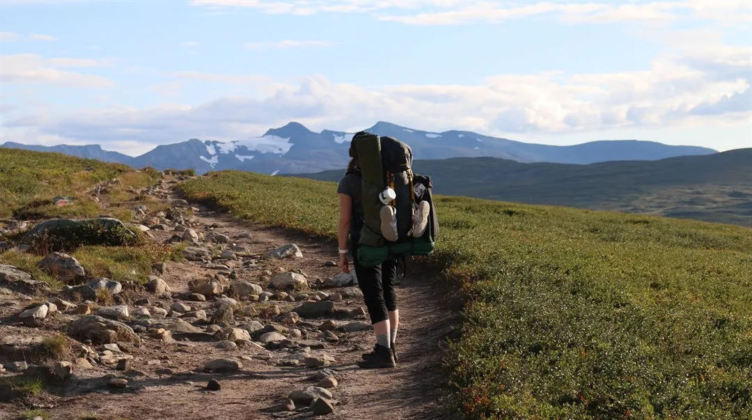 Carine Simon-Bellamy