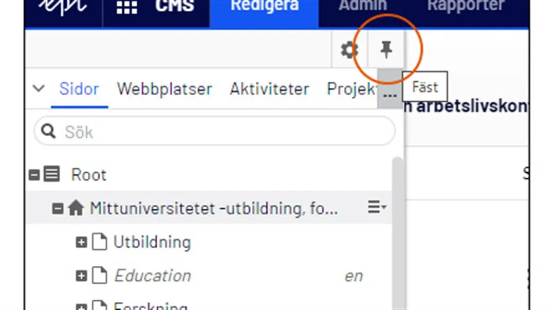 Häftstiftet för att nåla fast panelen.