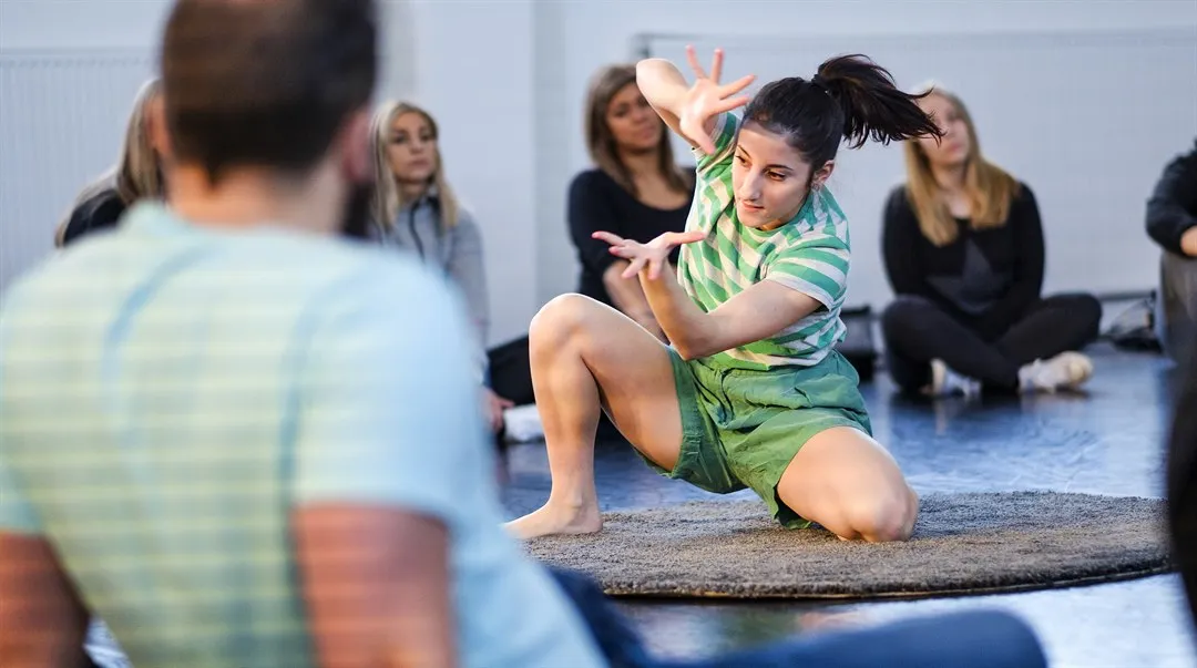 Temadag, lärarutbildnigen, Norrdans