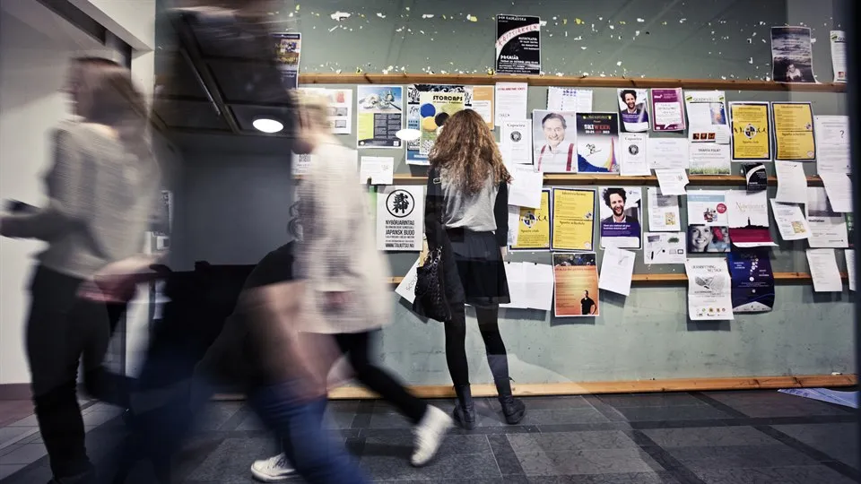 Student vid anslagstavla, 2 