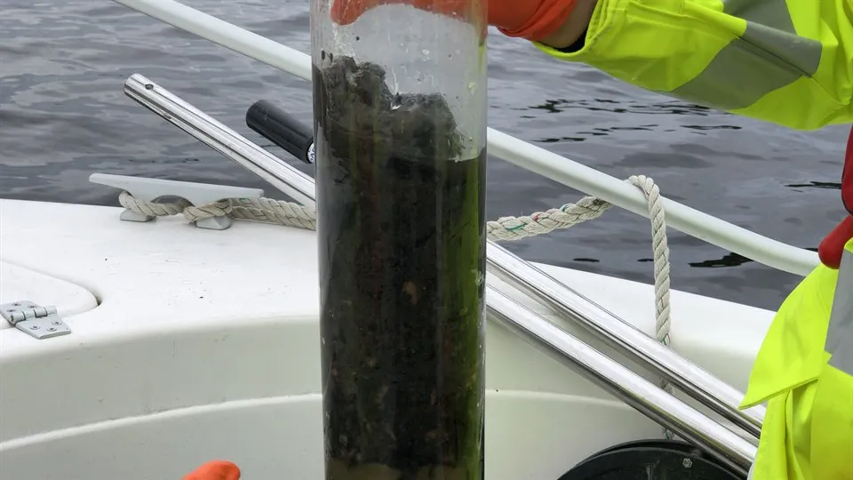 Provrör med bioslam från fiberbank