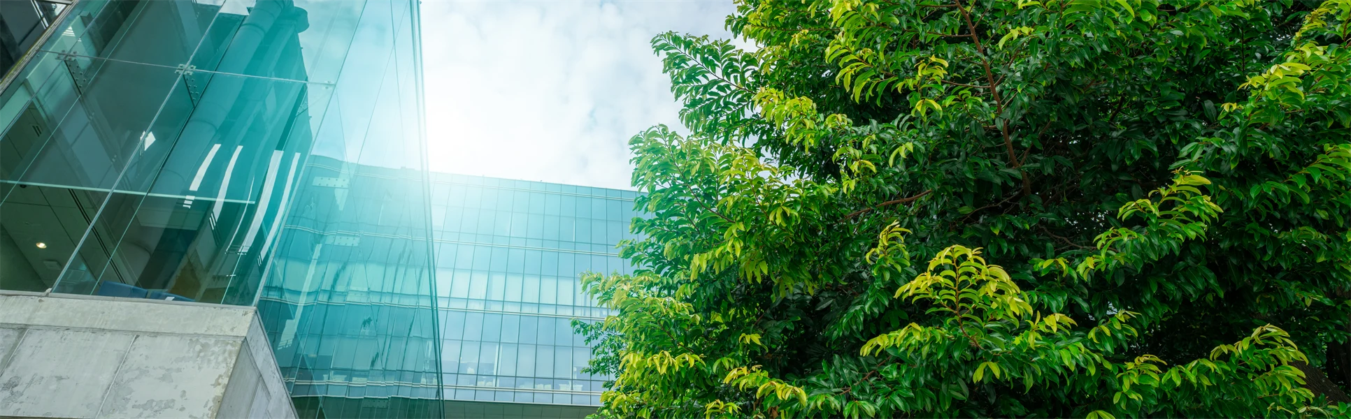 Hållbar infrastruktur – glasbyggnad och träd