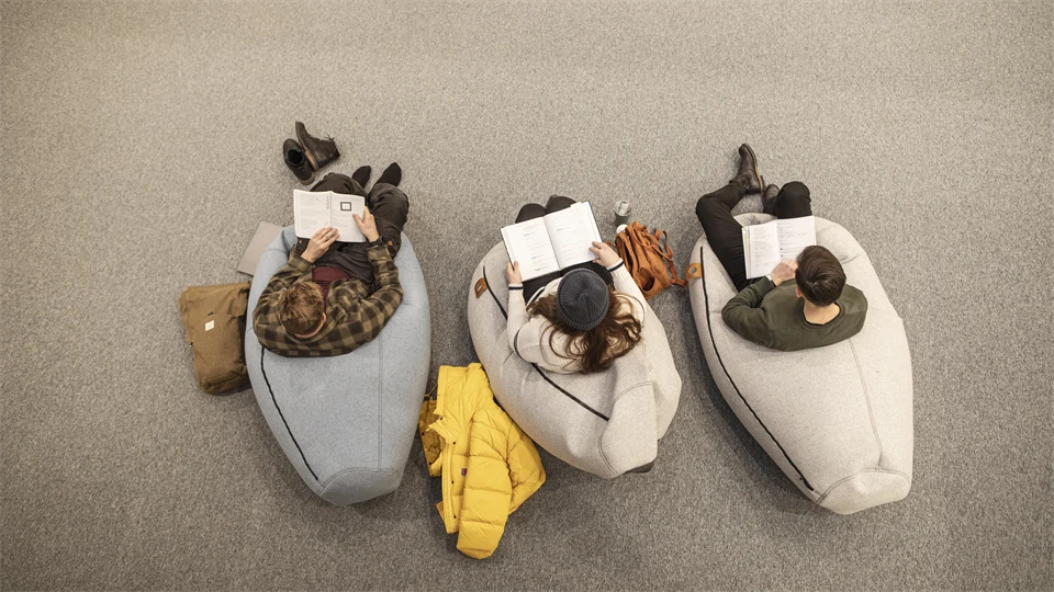 Studenter i biblioteket Östersund