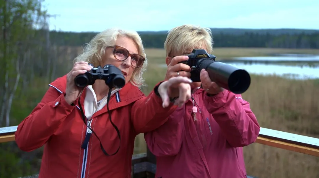 Tumnagel till filmen om tillgänglig naturturism