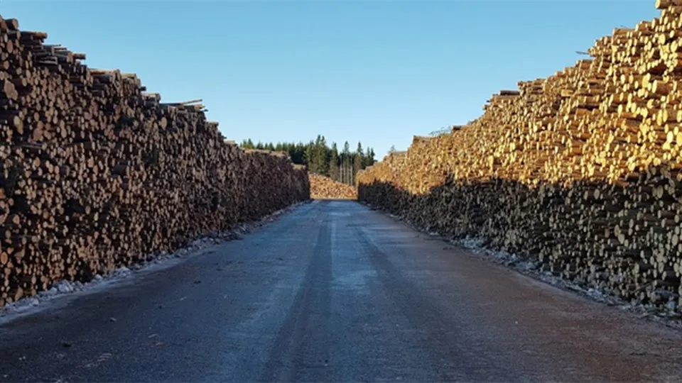 Torsboda signalmätning